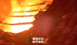 桂平火灾最新爆料新闻,火场情况及救援行动详细披露