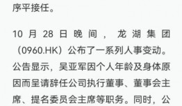 龙湖地产资金最新爆料