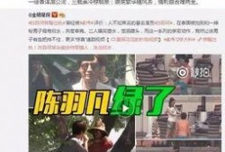 杨少直播爆料最新消息视频,最新热点事件深度剖析