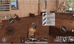 激情沙漠最新爆料视频,揭秘神秘探险背后的惊心动魄