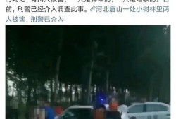 最新爆料唐山事件,真相与反思