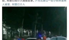 最新爆料唐山事件,真相与反思