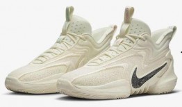 耐克最新篮球鞋爆料,科技革新与性能升级，全新战靴即将亮相
