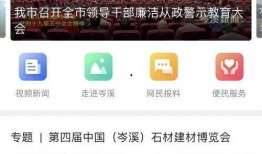 最新模块爆料视频,前沿科技与未来趋势前瞻