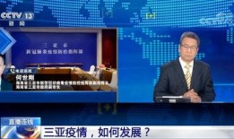 三亚最新网红爆料新闻,揭秘热门景点背后的秘密！